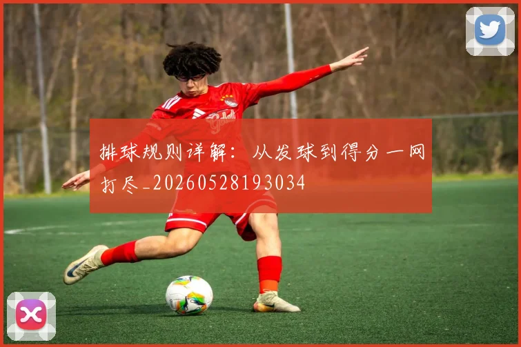 排球规则详解：从发球到得分一网打尽_20260528193034