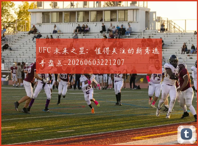 UFC 未来之星：值得关注的新秀选手盘点_20260603221207